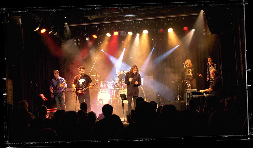 MINDFIELDS TOTOCoverband